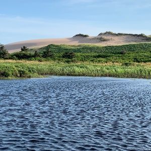 Meet your Posher, Katrina